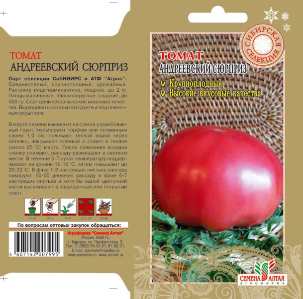 Характеристика томата Тяжеловес Сибири, урожайность и борьба с вредителями