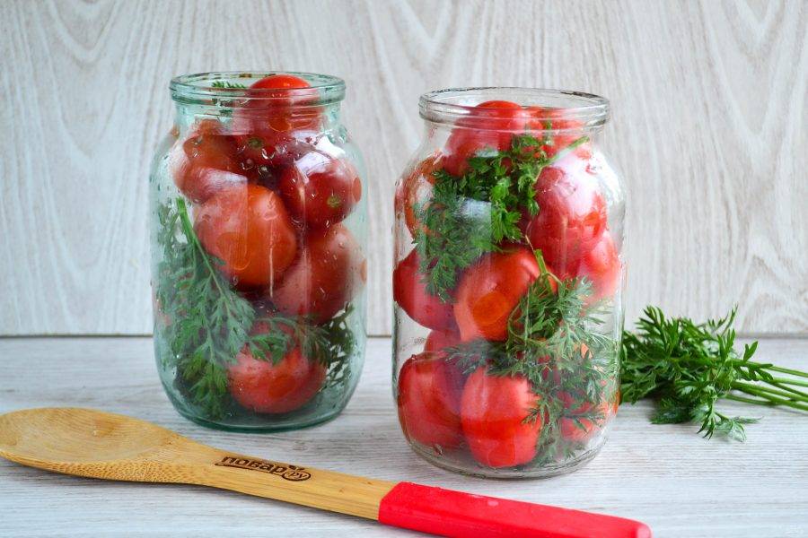15 лучших рецептов приготовления острых помидоров на зиму