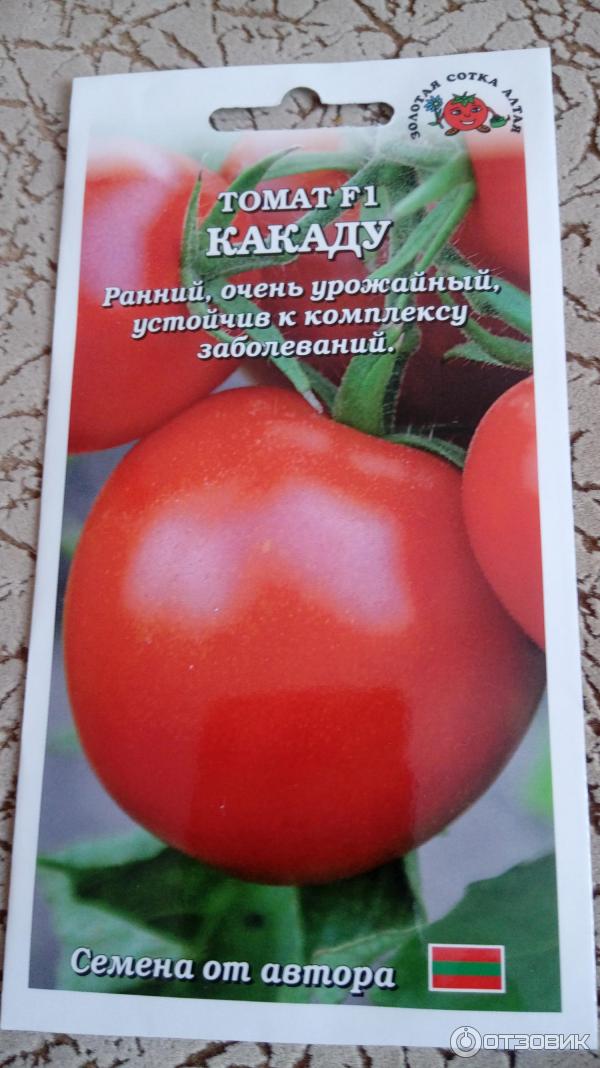 Томат сибирское чудо: описание и урожайность сорта, фото, отзывы