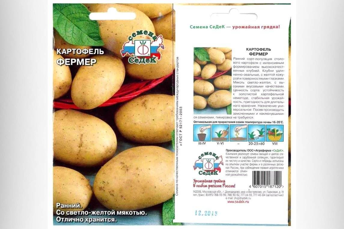 Сорт картофеля колетте: описание, посадка и уход русский фермер
