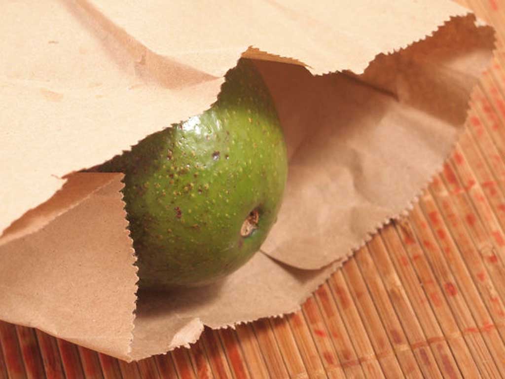 Как дозреть и хранить авокадо в домашних условиях – правила и способы