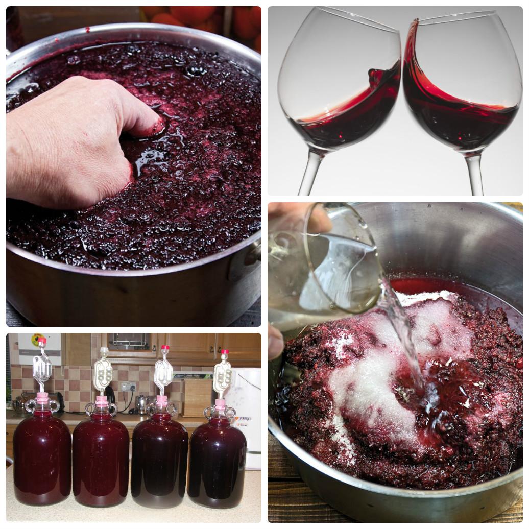 Как сделать домашнее вино своими руками: простой рецепт