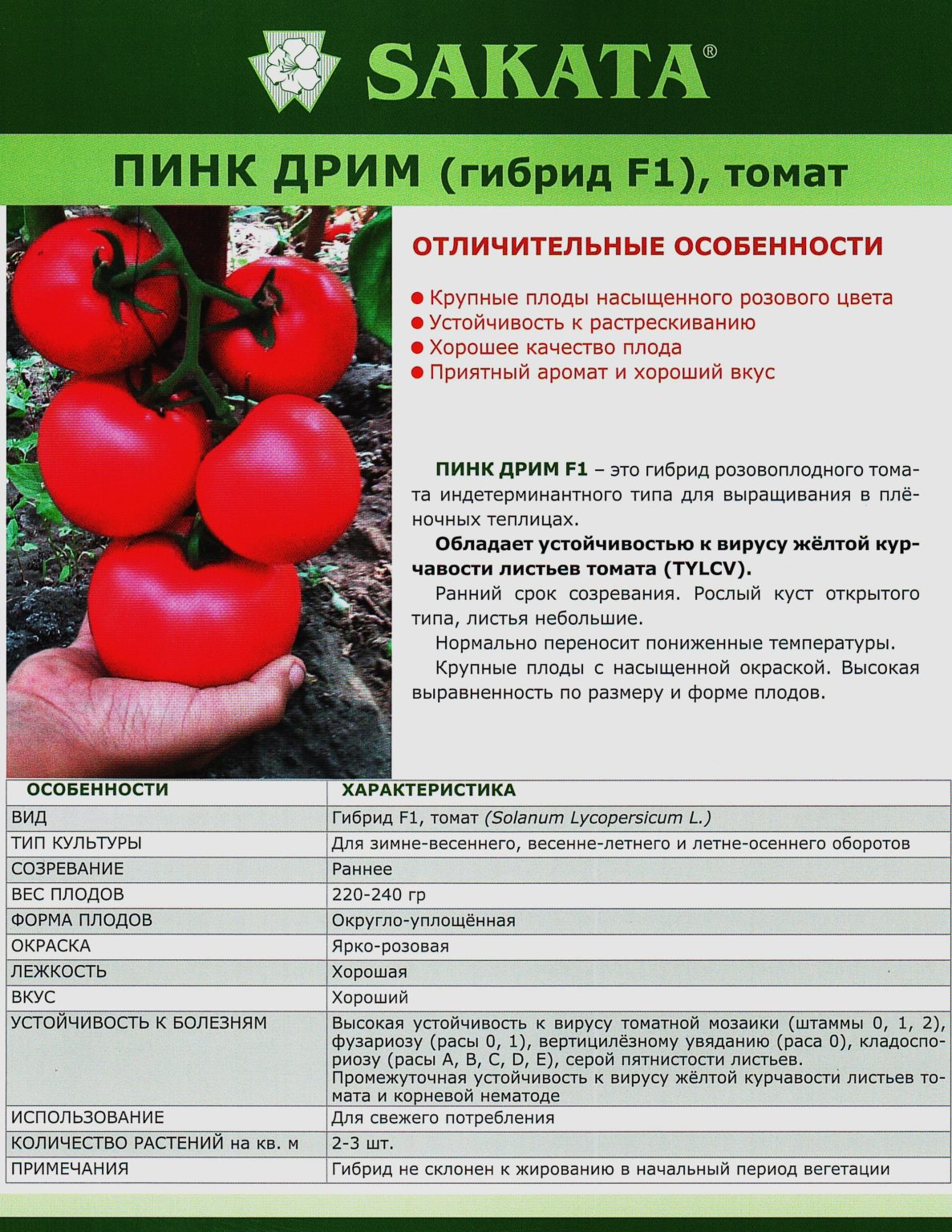 Описание сорта томата аристократ, особенности выращивания и урожайность