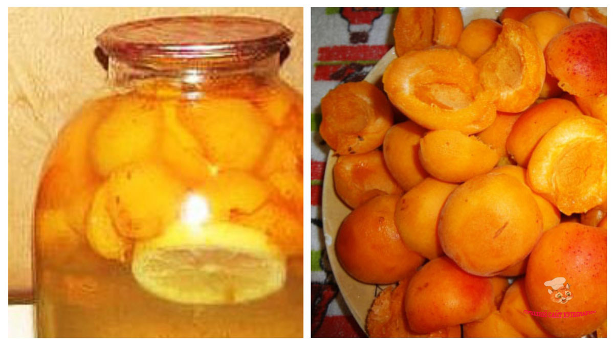 Рецепты заготовок из апельсинов на зиму