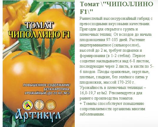 Описание раннего томата Синьор помидор и агротехнические характеристики растения