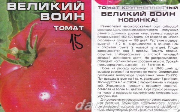 Мясистые малиновые плоды с неповторимым вкусом — томат командир полка: характеристика и описание сорта