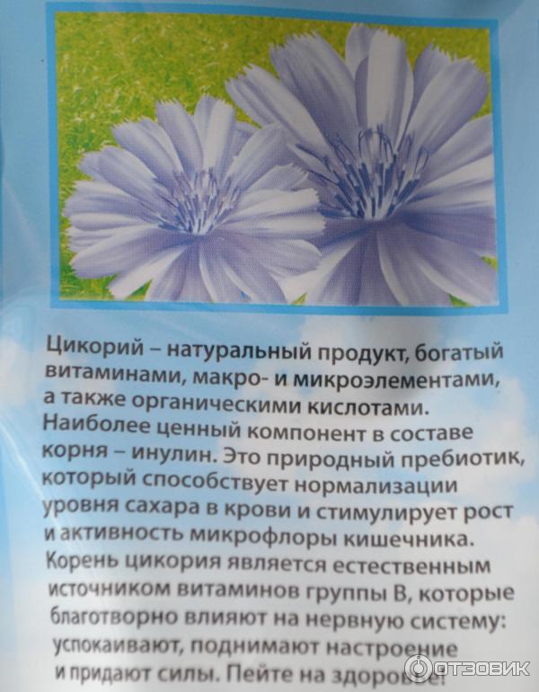 Экспертиза цикория: разыскивается инулин!