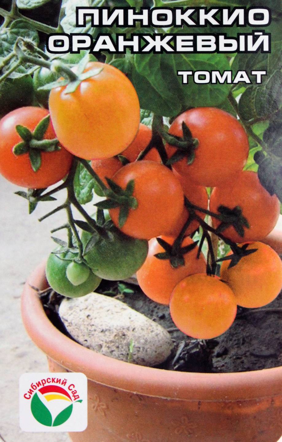 Краткое описание томата Сладкий пончик и особенности выращивания