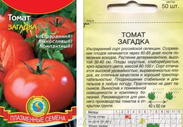 Низкорослые помидоры: лучшие сорта, описание, фото