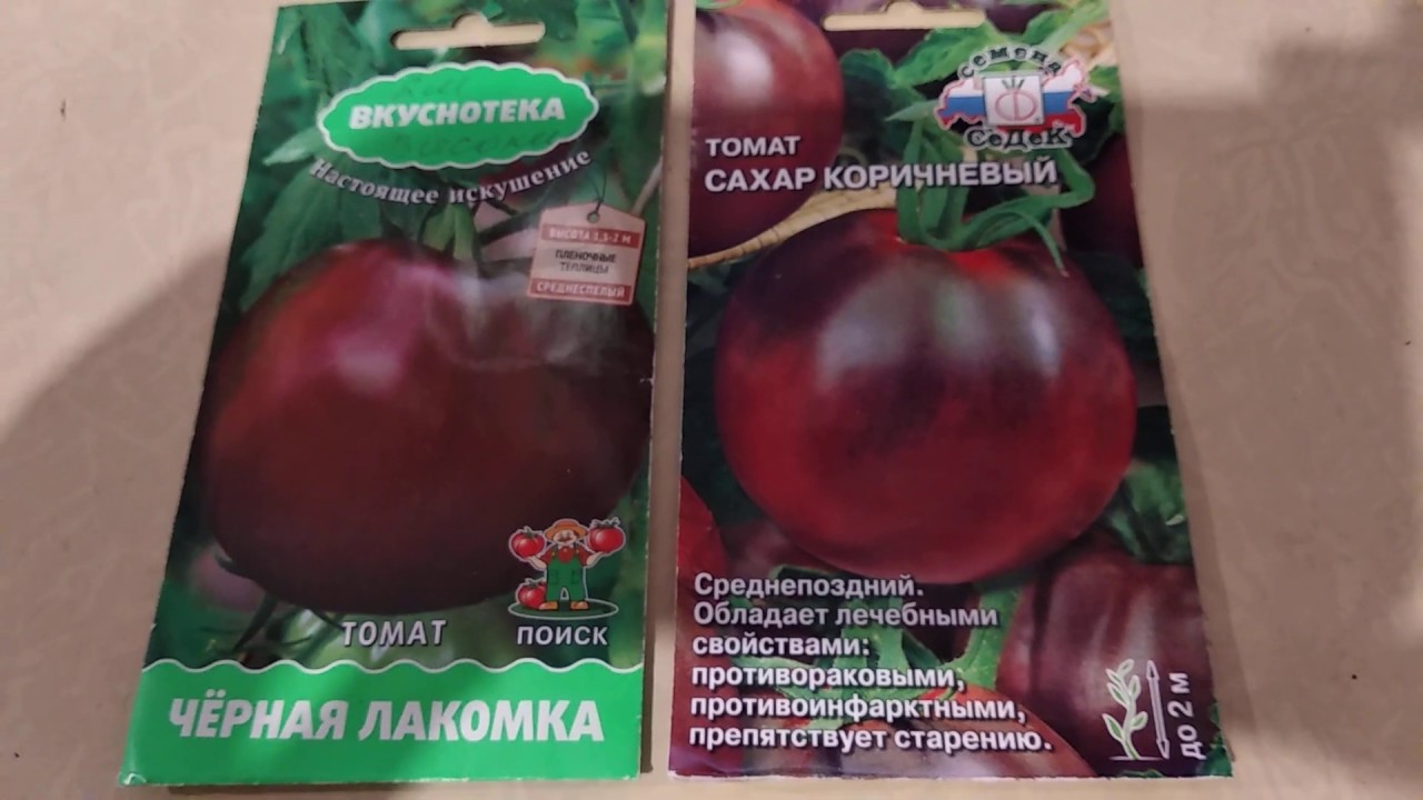 Черные сорта помидоров с фото и описанием для открытого грунта и теплиц, отзывы