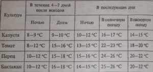 Температура в теплице: режимы, способы регулирования и стабилизации