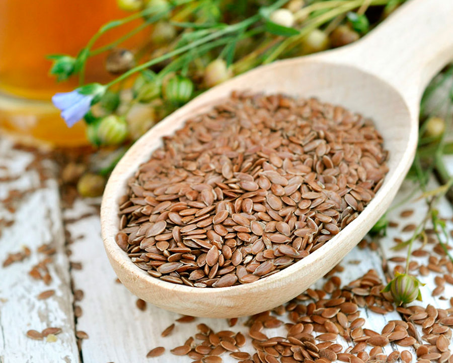 Укропа семена: лечебные свойства и противопоказания, применение в народной медицине