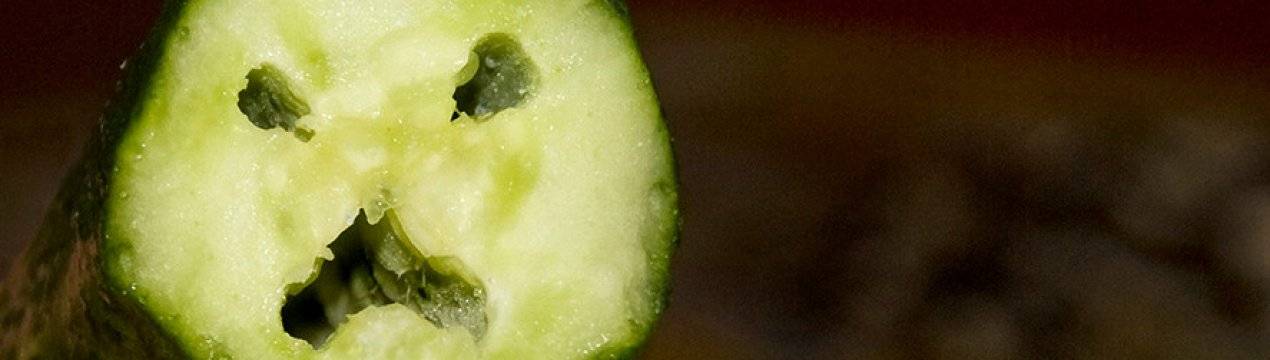 Почему огурцы пустые внутри: что делать, чтобы плоды не были пустотелыми