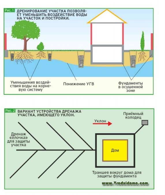 Дренажная система на участке своими руками от грунтовых вод схема фото