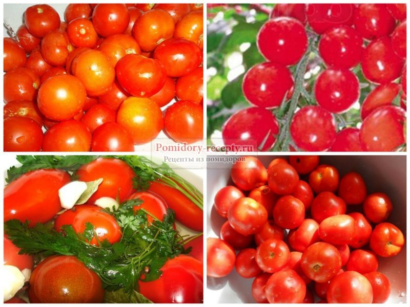 Лучшие сорта помидоров для засолки и консервации с фото