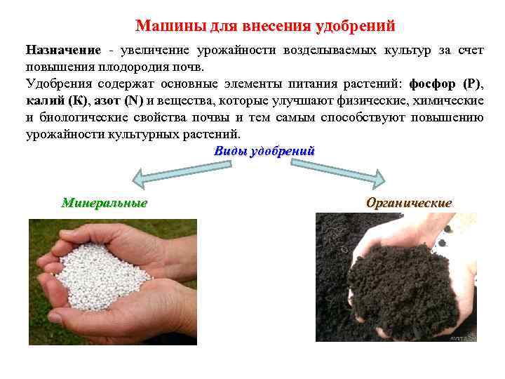 Как вносить удобрения в почву