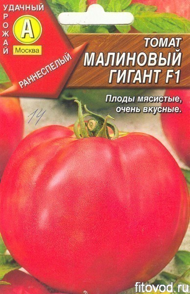 Томат малиновый гигант: описание сорта, отзывы, фото, характеристика | tomatland.ru