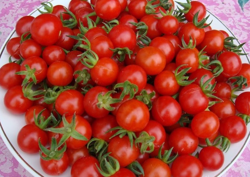 Характеристика и описание сорта томата Черри клубничный, его выращивание