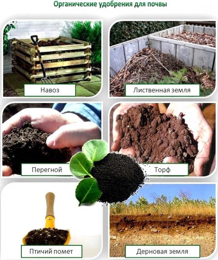 Комплексное удобрение для сада и огорода с микроэлементами, применение осенью - почва.нет