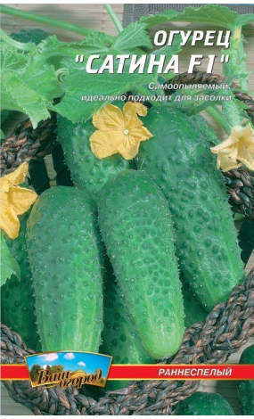 Огурец сатина f1: описание и характеристика сорта, выращивание и уход с фото