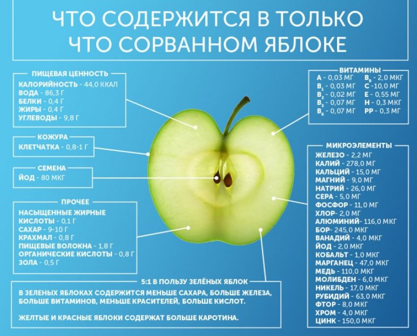 Яблоки симиренко — описание, особенности, преимущества и недостатки сорта
