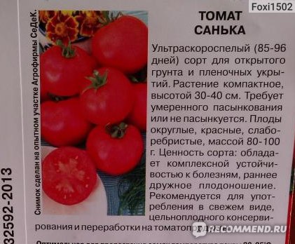 Характеристика и описание гибридного сорта томата фэнси f1