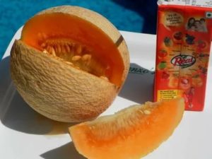 Сорта дыни с оранжевой мякотью: характеристика и описание - здоровая семья