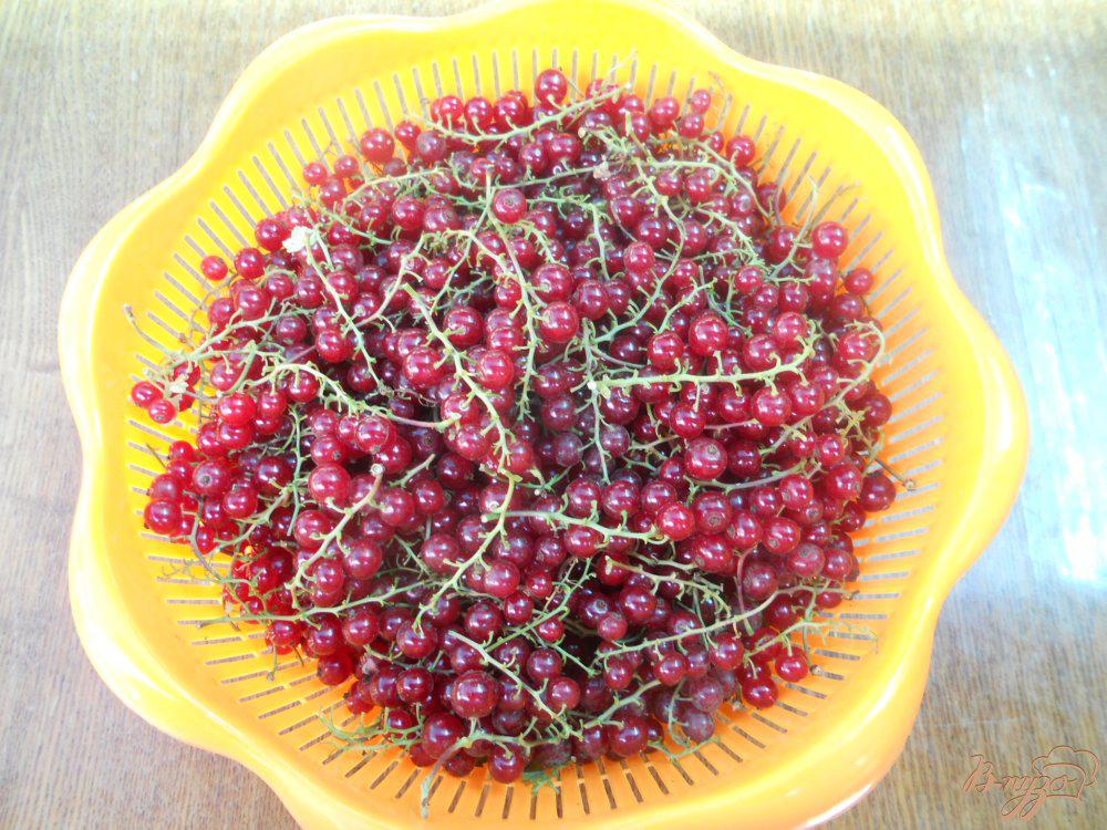 Красная смородина – заготовки на зиму полезных сладких ягод