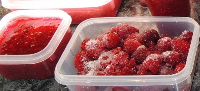 Как заморозить малину с сахаром на зиму в контейнере