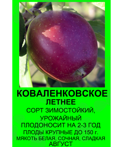 Яблоня коваленковское описание фото отзывы