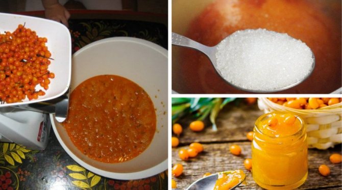 10 простых рецептов приготовления протертой с сахаром облепихи на зиму