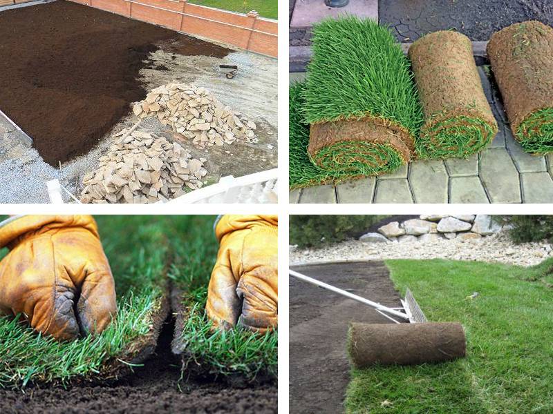Как выбрать искусственный газон на дачу: советы и рекомендации экспертов