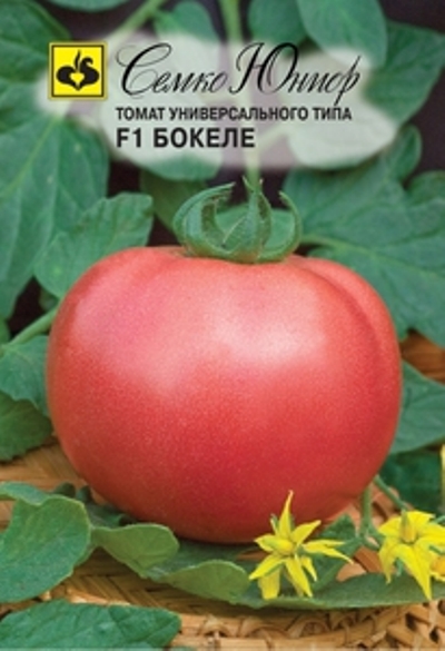 Томат большой зак: описание сорта, отзывы, фото, урожайность | tomatland.ru