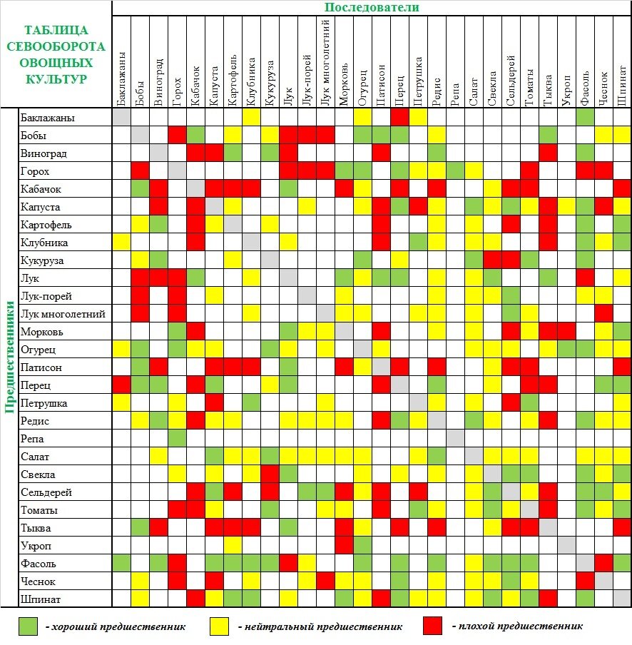 Схема посадки огорода по совместимости растений