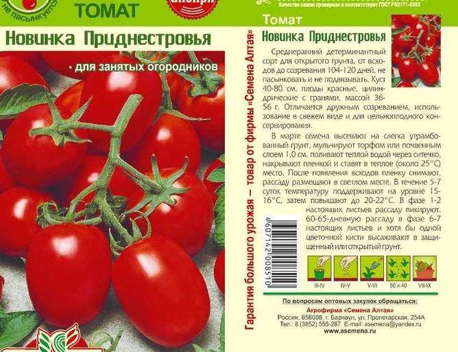 Описание сорта томата славянин, особенности выращивания и ухода