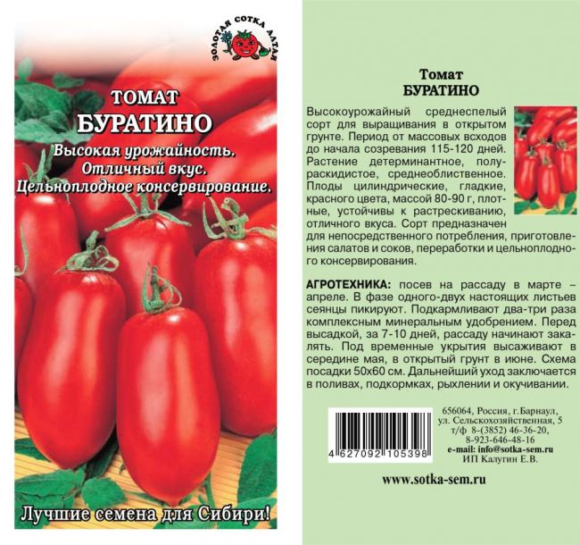Описание томата Буратино, технология выращивания и рекомендации