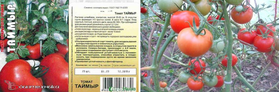 Самые урожайные сорта помидоров для открытого грунта