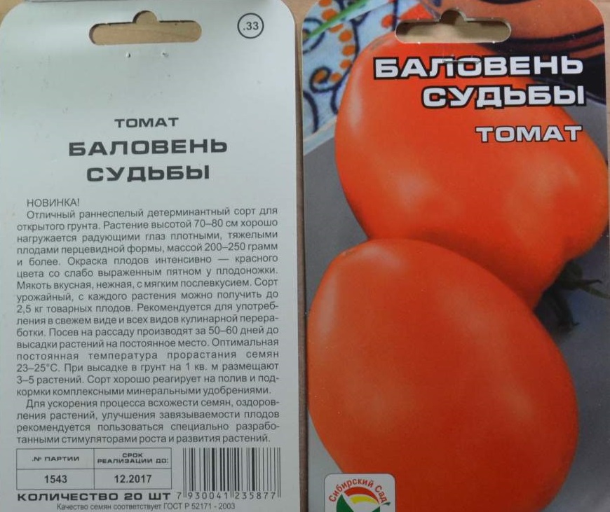 Характеристика томата крем-брюле и агротехника выращивания