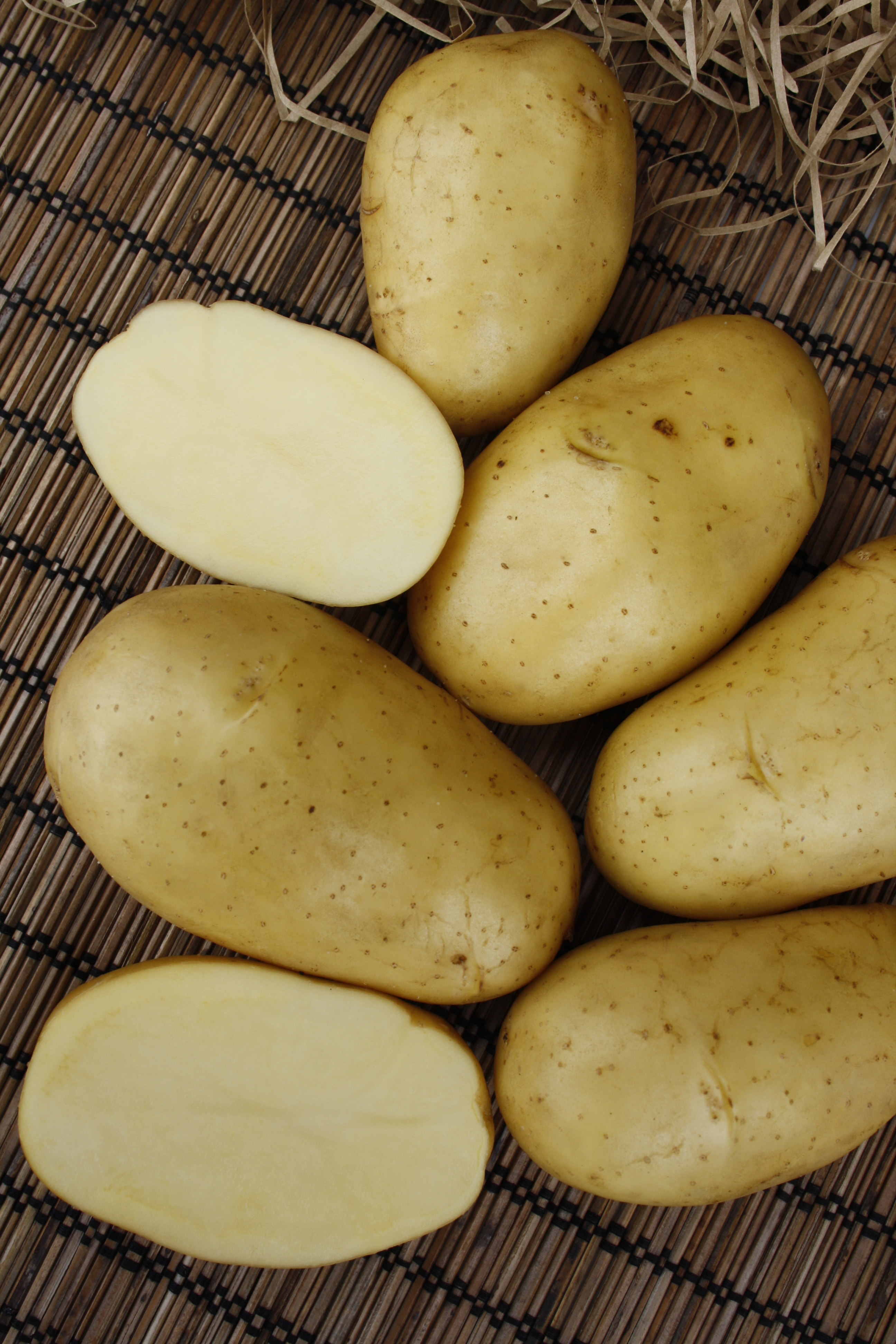 Картофель сорта колетте — «чипсоеды» оценят по достоинству!