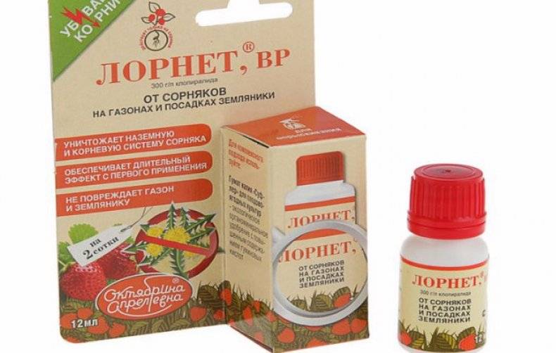 Гербициды для клубники от сорняков выбирайте с оглядкой на сезон