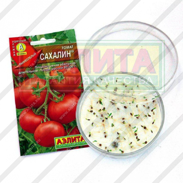 Томаты - посадка и выращивание в открытом грунте или теплице