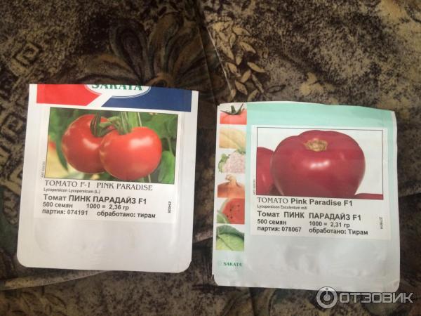Характеристика и описание томата пинк самсон f1, выращивание и правила посадки