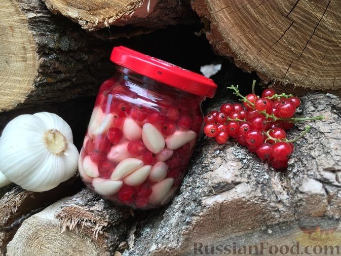Маринованный чеснок с красной смородиной на зиму: 6 лучших рецептов с фото