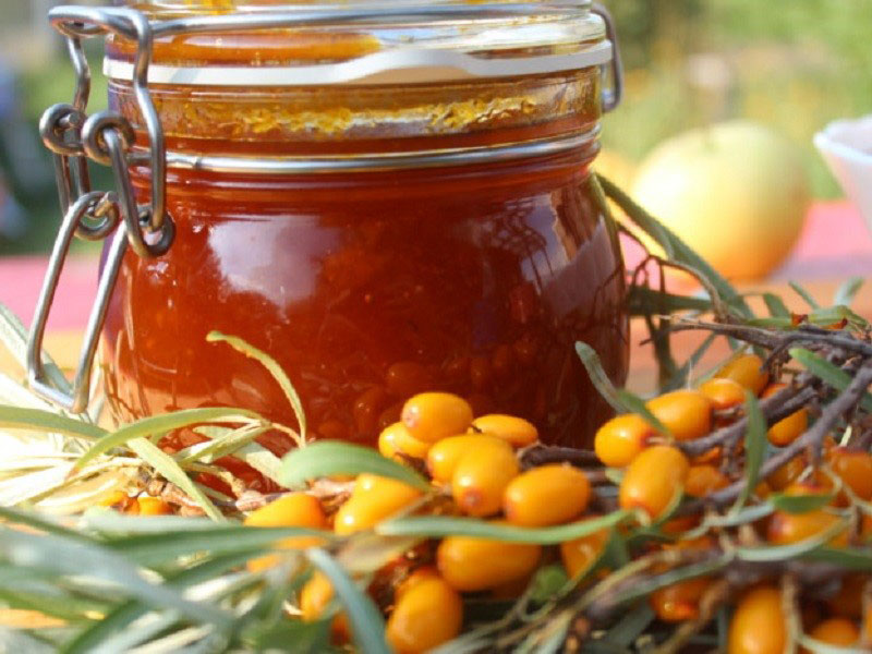 11 лучших рецептов приготовления на зиму варенья на меду вместо сахара