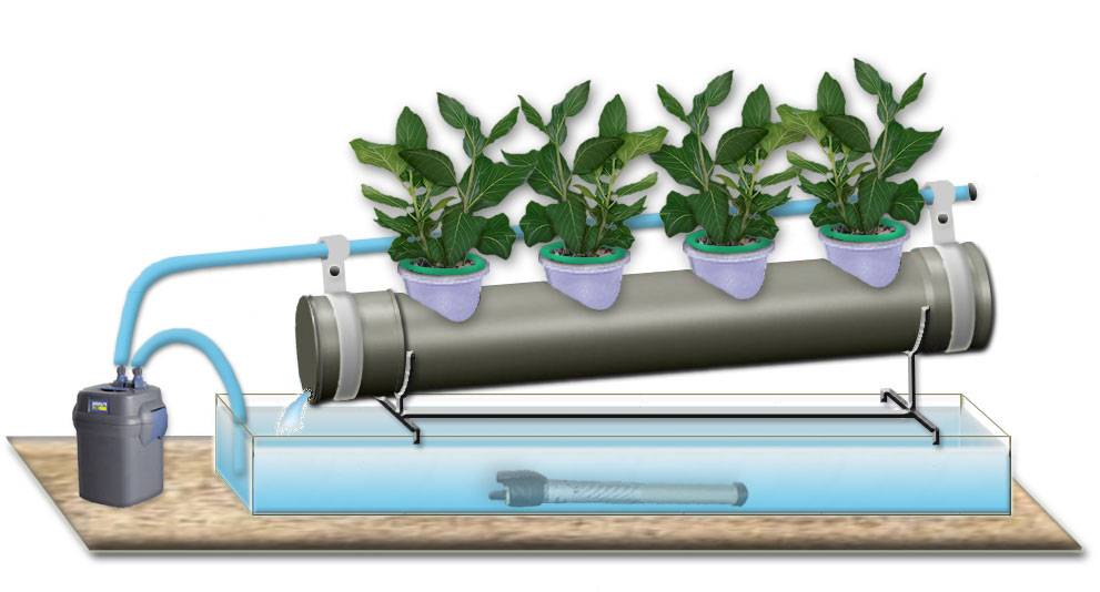 Как установить оборудование для выращивания клубники по методу гидропоники своими руками