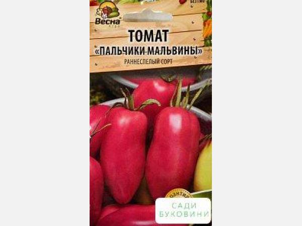 Томат дамские пальчики: описание и характеристика помидор, достоинства и недостатки сорта