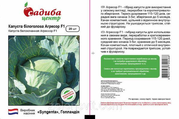 Описание гибридной капусты сорта Агрессор F1 и агротехника выращивания овоща