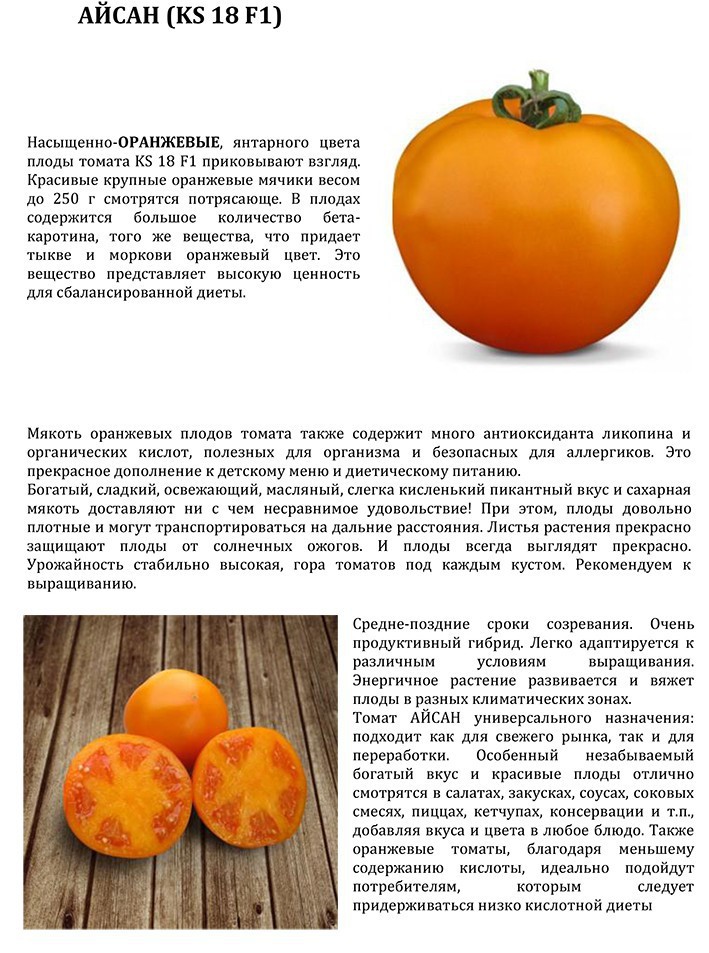 Характеристика и описание универсальных томатов Айсан, выращивание и уход