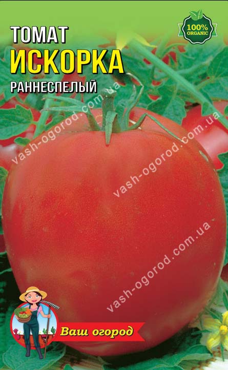 Томат искорка: характеристика и описание сорта, урожайность с фото