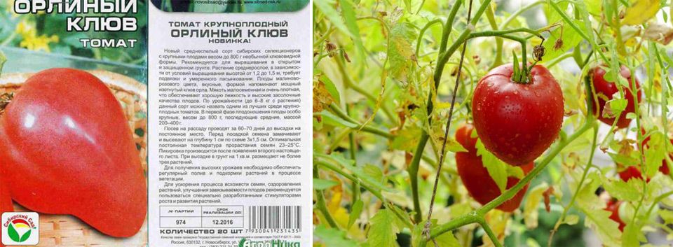 Томат "бийская роза": описание сорта, рекомендации по выращиванию и уходу русский фермер